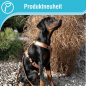 Preview: Petlando Mesh Y Comfort Oliv