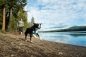 Preview: Ruffwear Front Range Twilight grey