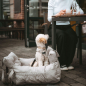 Preview: 2-in-1 Car seat and travel cot Seoul