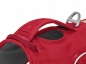 Preview: Ruffwear Web Master red