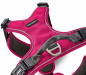 Preview: Wolters Active Pro Comfort Geschirr magenta/anthrazit