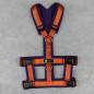 Preview: Harness Safety Plum