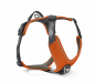 Preview: Wolters Active Pro Comfort Geschirr rotorange/anthrazit