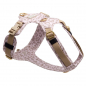 Preview: Emmy & Pepe Hundegeschirr  Leo   Creme
