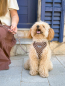 Preview: Soft Body Harness Textura Garbet
