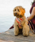 Preview: Soft Body Harness Textura Caldes