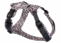 Preview: Emmy & Pepe Hundegeschirr   Leo   Dark