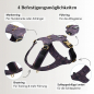 Preview: Emmy & Pepe Dog Harness Golden   Plum