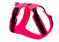 Preview: Emmy & Pepe Hundegeschirr Neon Pink