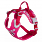 Preview: Hurtta Weekend Warrior harness black Ruby