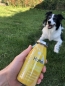 Preview: SmoothieDog Huhn | 3er-Pack (3x 250ml)