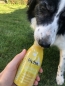 Preview: SmoothieDog Huhn | 3er-Pack (3x 250ml)
