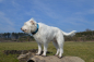 Preview: Petlando Mesh Halsband petrol