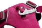 Mobile Preview: Ruffwear Front Range pink