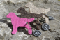 Preview: Treusinn Keyring wool felt DOG