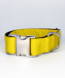 Preview: Brott Collar Solid yellow