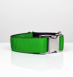 Preview: Brott Collar Solid Green Forest