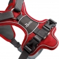 Preview: Hunter Harness DIVO red/grey
