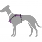 Preview: Hunter Harness DIVO grey