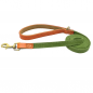 Preview: Prinz Poldi Leash green