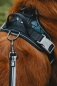 Preview: Hurtta Geschirr Weekend Warrior harness schwarz