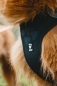 Preview: Hurtta Geschirr Weekend Warrior harness schwarz