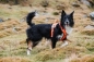 Preview: Hurtta Geschirr Weekend Warrior harness schwarz