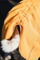 Preview: Hurtta Expedition Parka Buckthorn