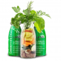 Preview: SmoothieDog Hundesmoothie Lamm 250ml