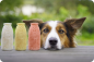 Preview: SmoothieDog iceform