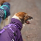 Preview: Anny-X Mantelgeschirr Storm Ultraviolett
