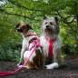 Preview: Anny-X Brustgeschirr safety leuchtpink