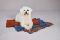 Preview: Wolters Cleankeeper Doormat Rostrot