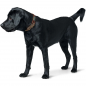 Preview: Hunter Collar Malia dove chocolate/darkbrown