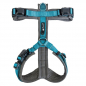 Preview: Petlando Magnetech Y - Comfort Geschirr Anthrazit/Petrol