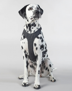 PAIKKA dog harness reflective "Visibility Harness"