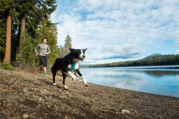 Ruffwear Front Range Twilight grey