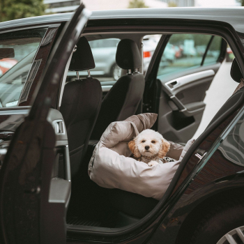Preview: Hunter 2-in-1 Autositz und Reisebett Seoul