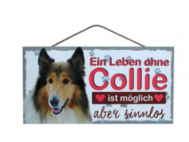 Hundeschild Collie