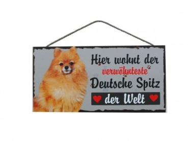 Hundeschild Spitz