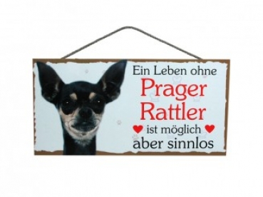 Hundeschild Prager Rattler