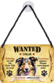 Pet Sign Collie
