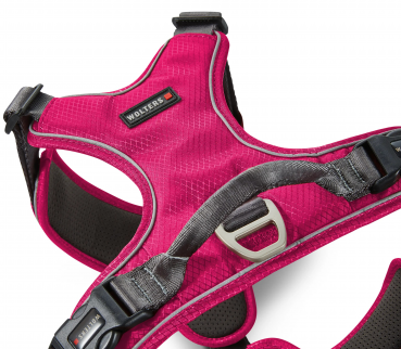 Wolters Active Pro Comfort Geschirr magenta/anthrazit