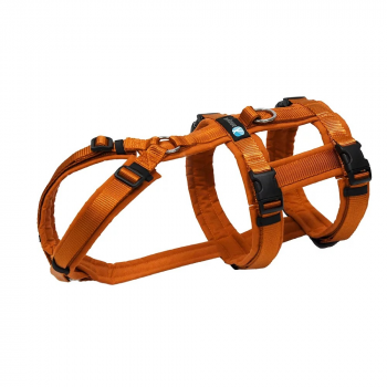 Harness Safety Ahorn