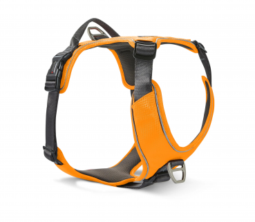Wolters Active Pro Comfort Geschirr orange/anthrazit