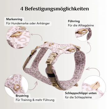 Preview: Emmy & Pepe Hundegeschirr  Leo   Creme