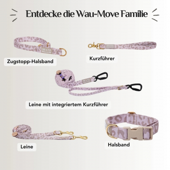 Preview: Emmy & Pepe Hundegeschirr  Leo   Creme