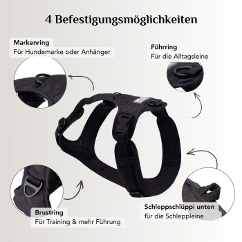 Preview: Emmy & Pepe Hundegeschirr   Fröhliches   Schwarz