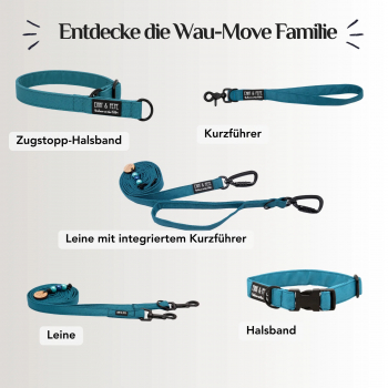 Preview: Emmy & Pepe Hundegeschirr Aqua