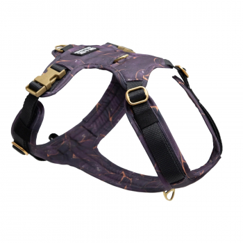 Emmy & Pepe Hundegeschirr Golden Plum